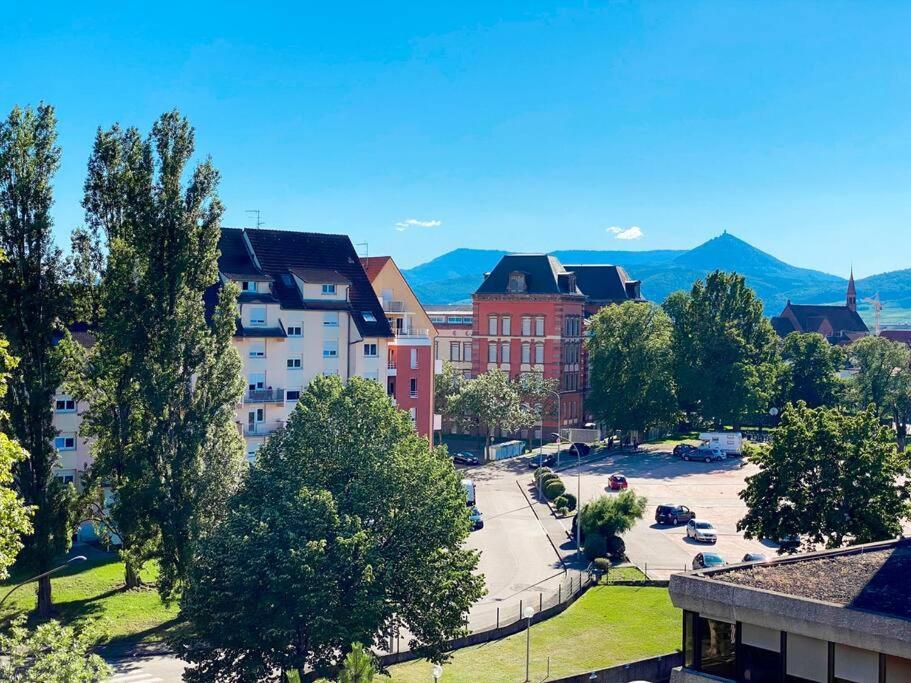 Le Belvedere Alsacien Sélestat Екстериор снимка