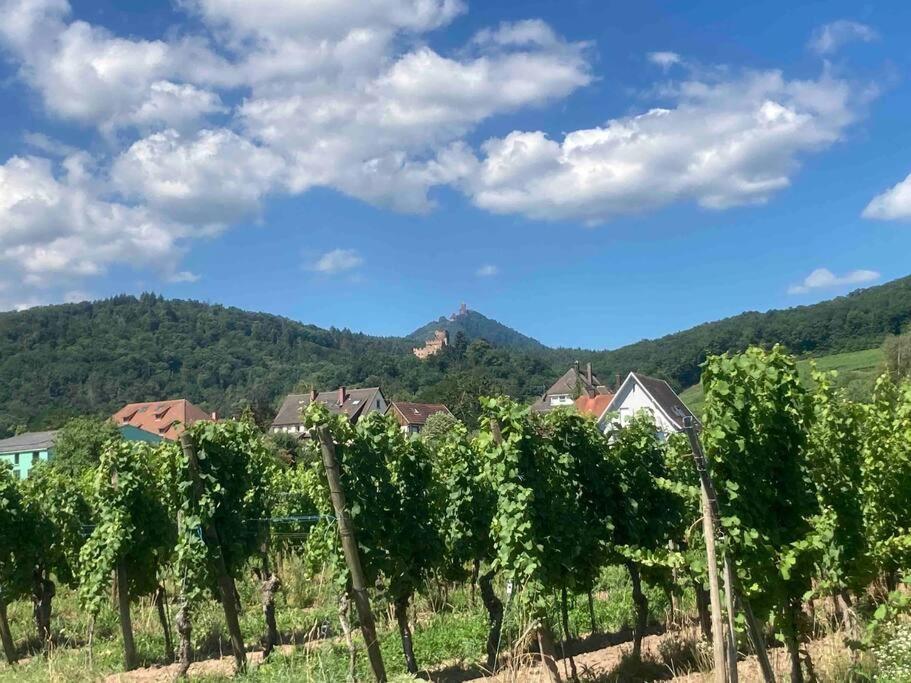 Le Belvedere Alsacien Sélestat Екстериор снимка