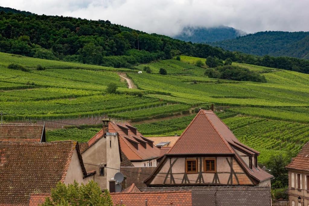 Le Belvedere Alsacien Sélestat Екстериор снимка